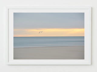 dusk flight - Cape Cod beach photograph by Sarah Dasco