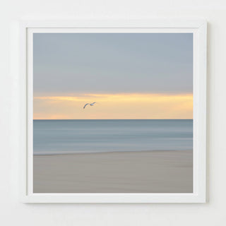 dusk flight - Cape Cod beach photograph by Sarah Dasco