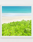 colors of paradise - Bahamas beach photograph by Sarah Dasco