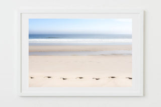 walk the beach - Photograph of Nauset Beach, Cape Cod