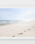 wanderlust -Photograph of Nauset Beach, Cape Cod